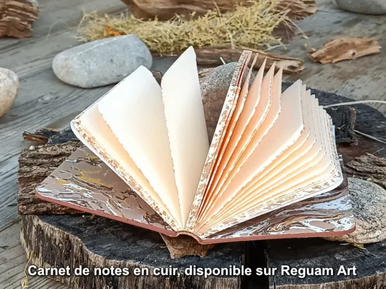 Art et Reliure de Lautrec particuliers carnet de notes Reguam Art